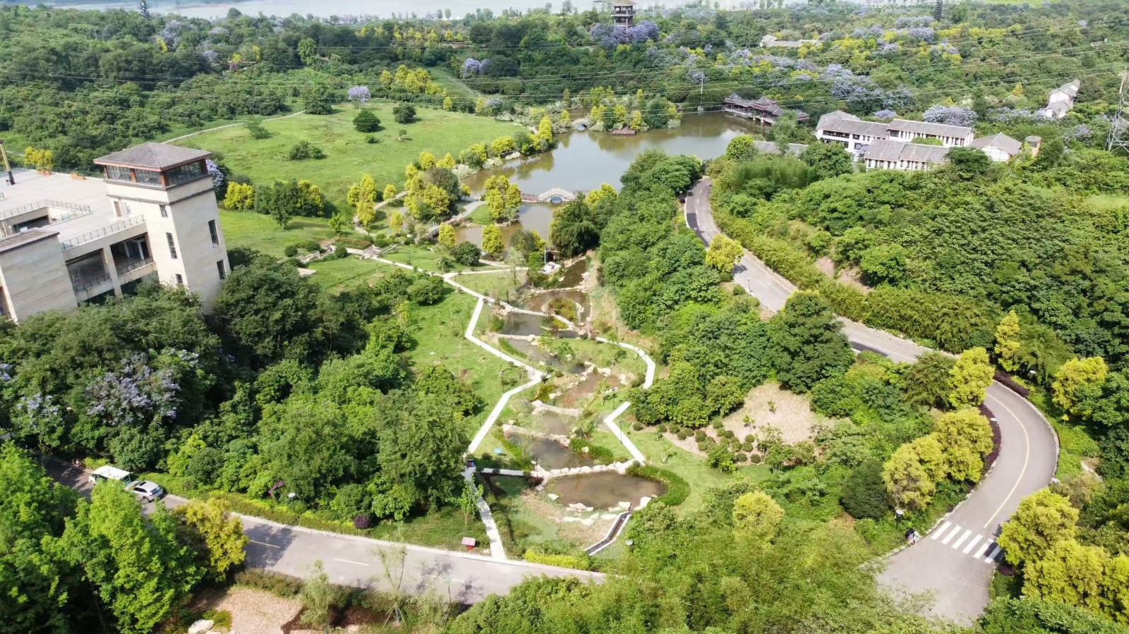 张坝桂圆林海绵化改造工程 泸州园林